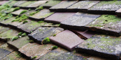 Tollesbury roof repair costs